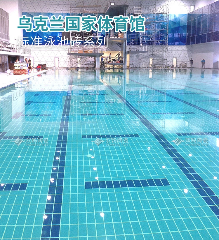 Antislip Swimming Pool 244X119mm Ceramic Full Body Tiles Exterior Tiles Pool Border